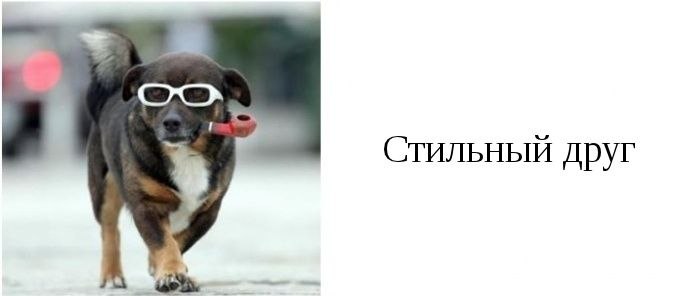 Владислав Зайцев | Южно-Сахалинск