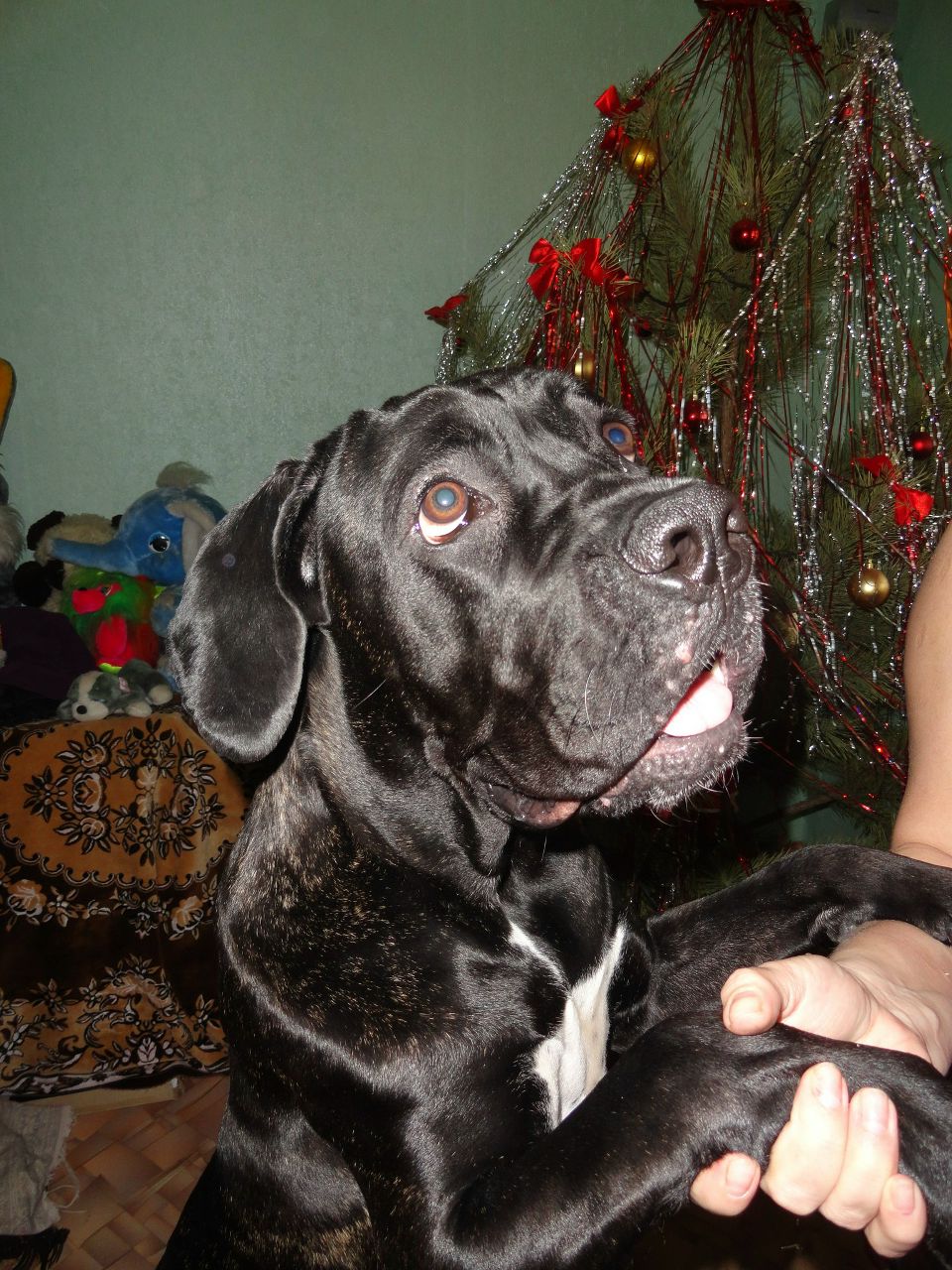 Юлия Кажаева | Самара