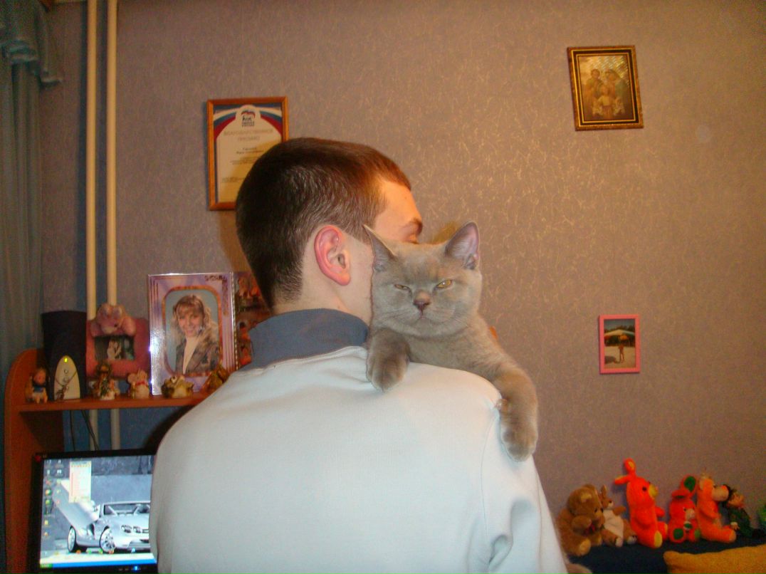 Максим Соколов | Новокузнецк