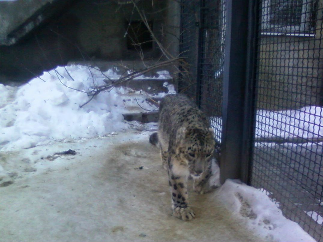 Фархат Байрамов | Москва