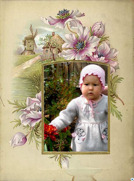 Константин Песоцкий | Донецк