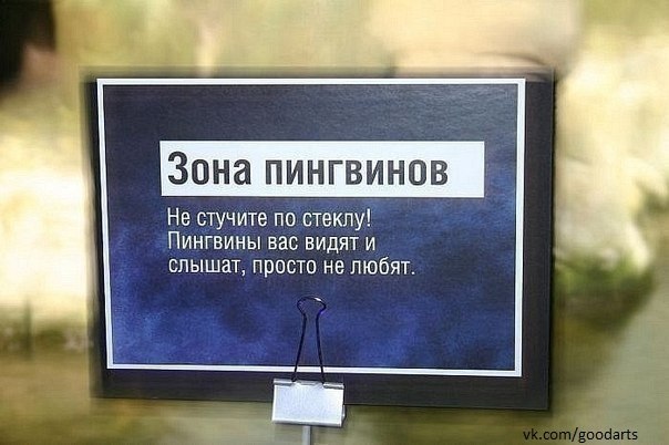 №100, Анастасия Горячева, Новочеркасск №100, Анастасия Горячева, Новочеркасск