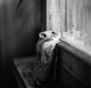 Фотография Плескуниной Марии