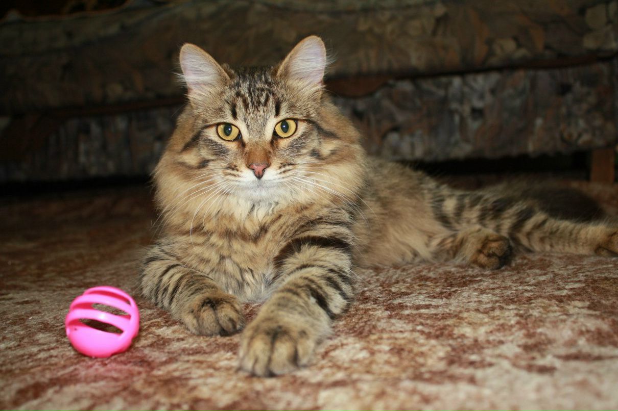 Анна Закирова | Казань