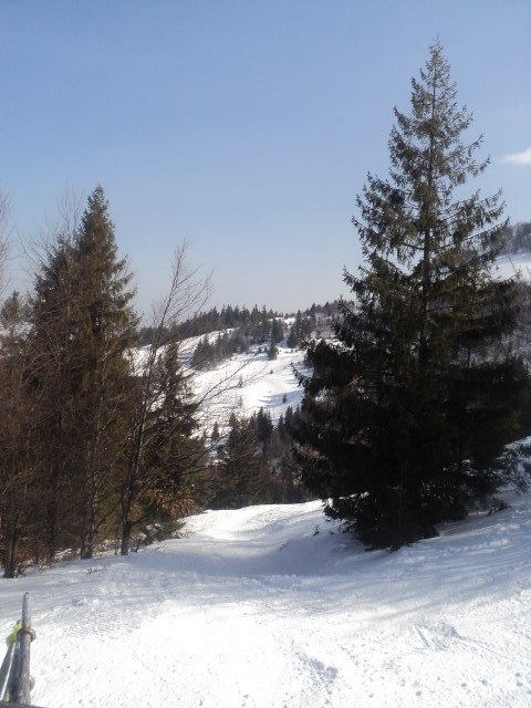 Іван Гимба PELE | Межгорье