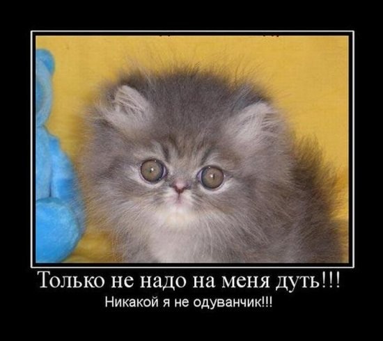 Вячеслав Башук 