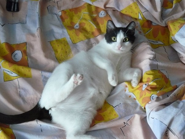 №123, Валентина Терещенко, Саратов №123, Валентина Терещенко, Саратов