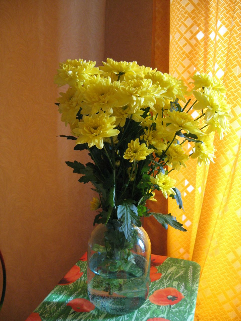 Анастасия Алашеева | Самара