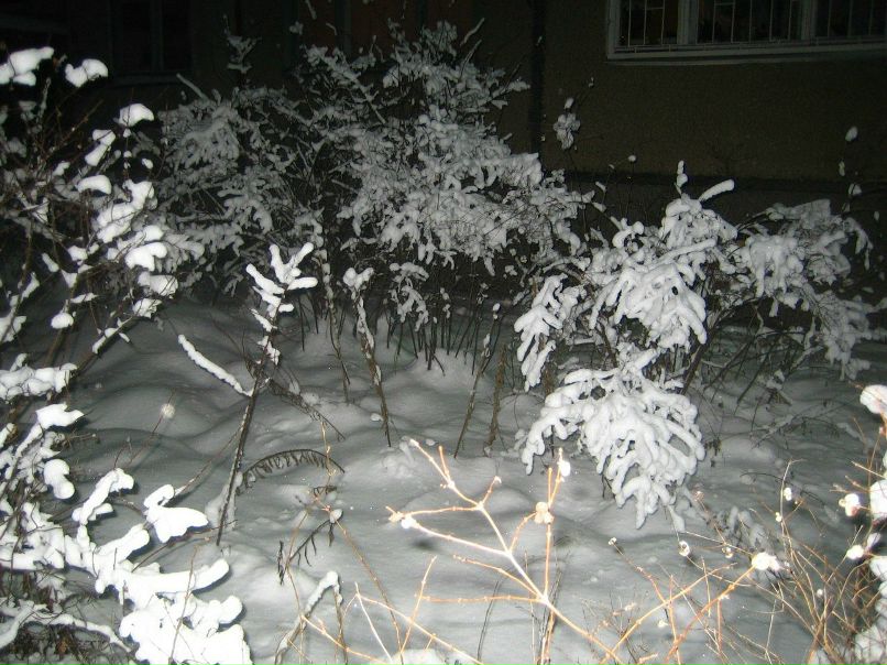 Юрий Калашинский 