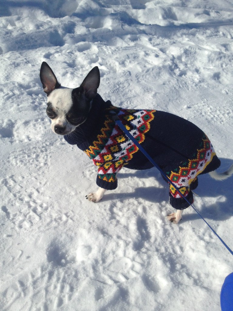 Ирина Ермакова | Санкт-Петербург