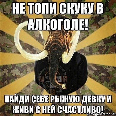 №26, Артём Дмитриев, 34 года №26, Артём Дмитриев, 34 года