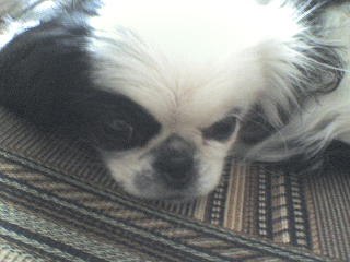 Алсушка Идрисова AW | Казань