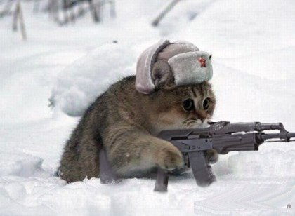 Виктор Белера | Ростов-на-Дону