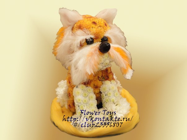 Flower Toys фото профиля #2