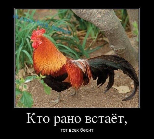 №21, Петро Кухарський №21, Петро Кухарський