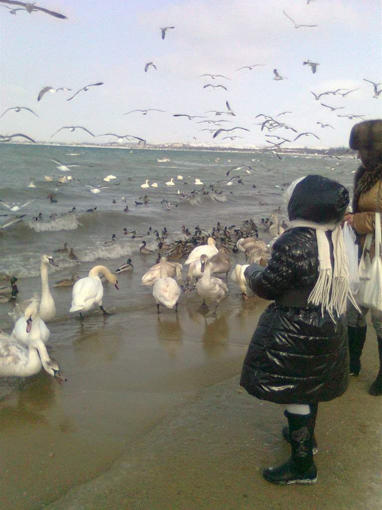 Элеонора Уфимцева | 