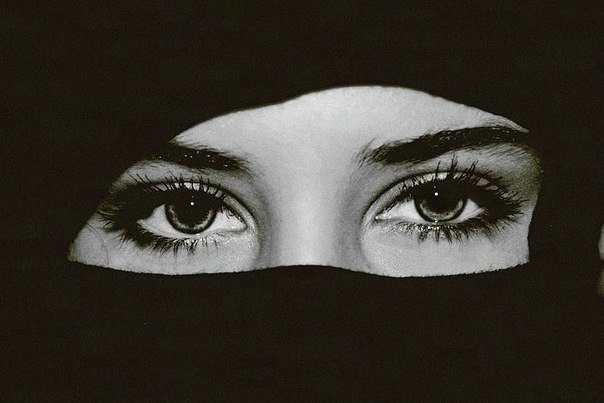 Пемо Люкс | Москва