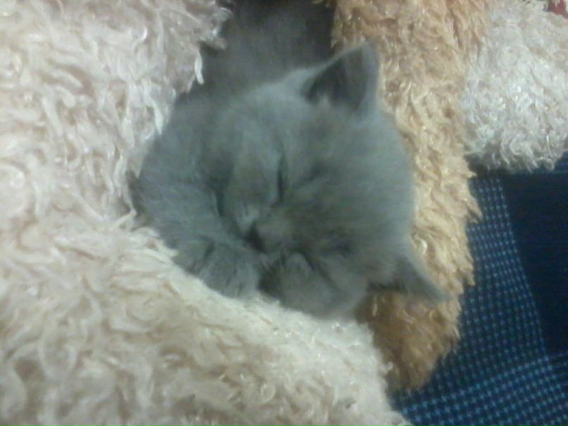 Татьяна Ковалёва | Харьков