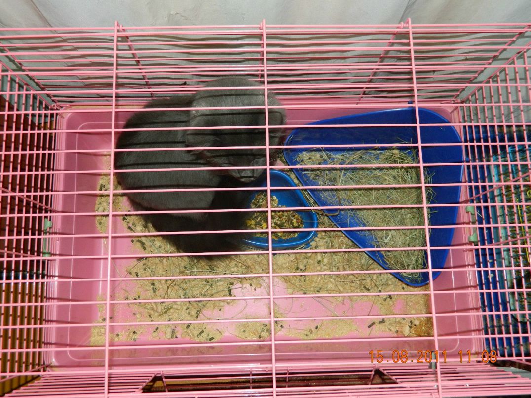 Евгений Мельниченко W | Челябинск