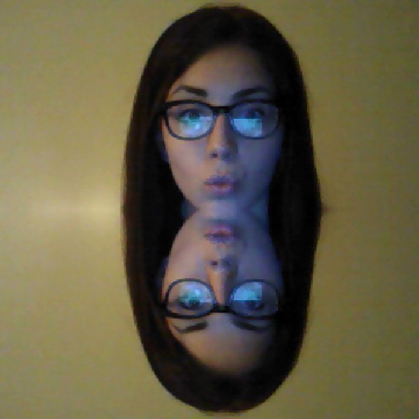 №12, Лина Бразильская №12, Лина Бразильская