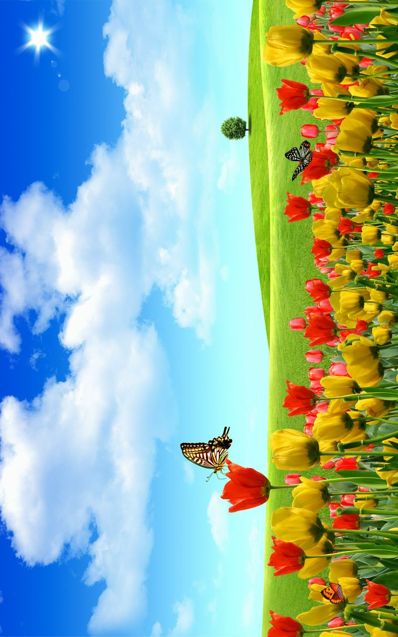 Аида Антимоза | Москва