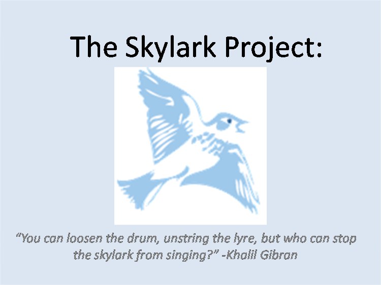 Максим Вождаев | Санкт-Петербург