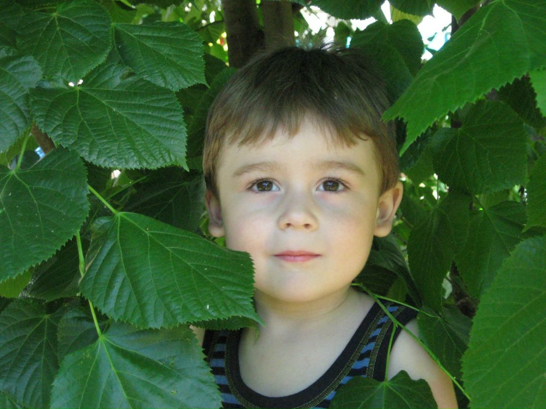 Анатолий Ковальковский | Каменец-Подольский