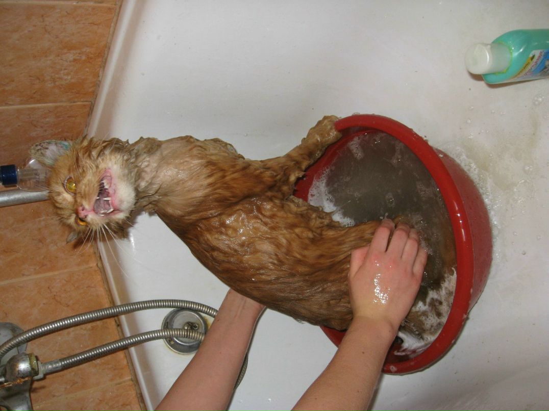 Юлия Литвин | Киев