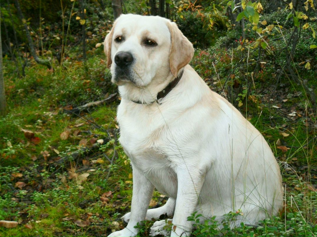 Оксана Клевцова николаевна | 
