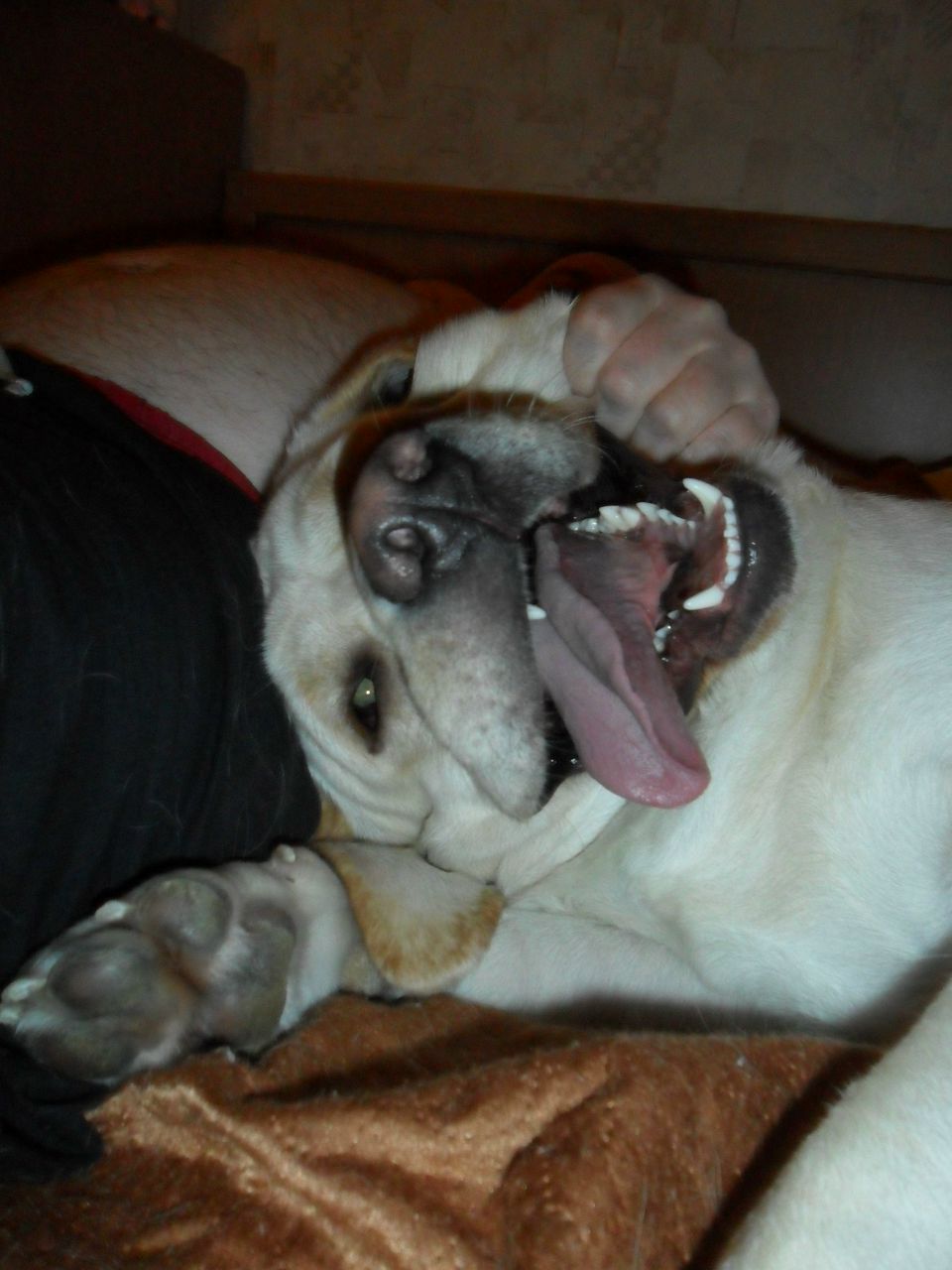 Оксана Клевцова николаевна | 