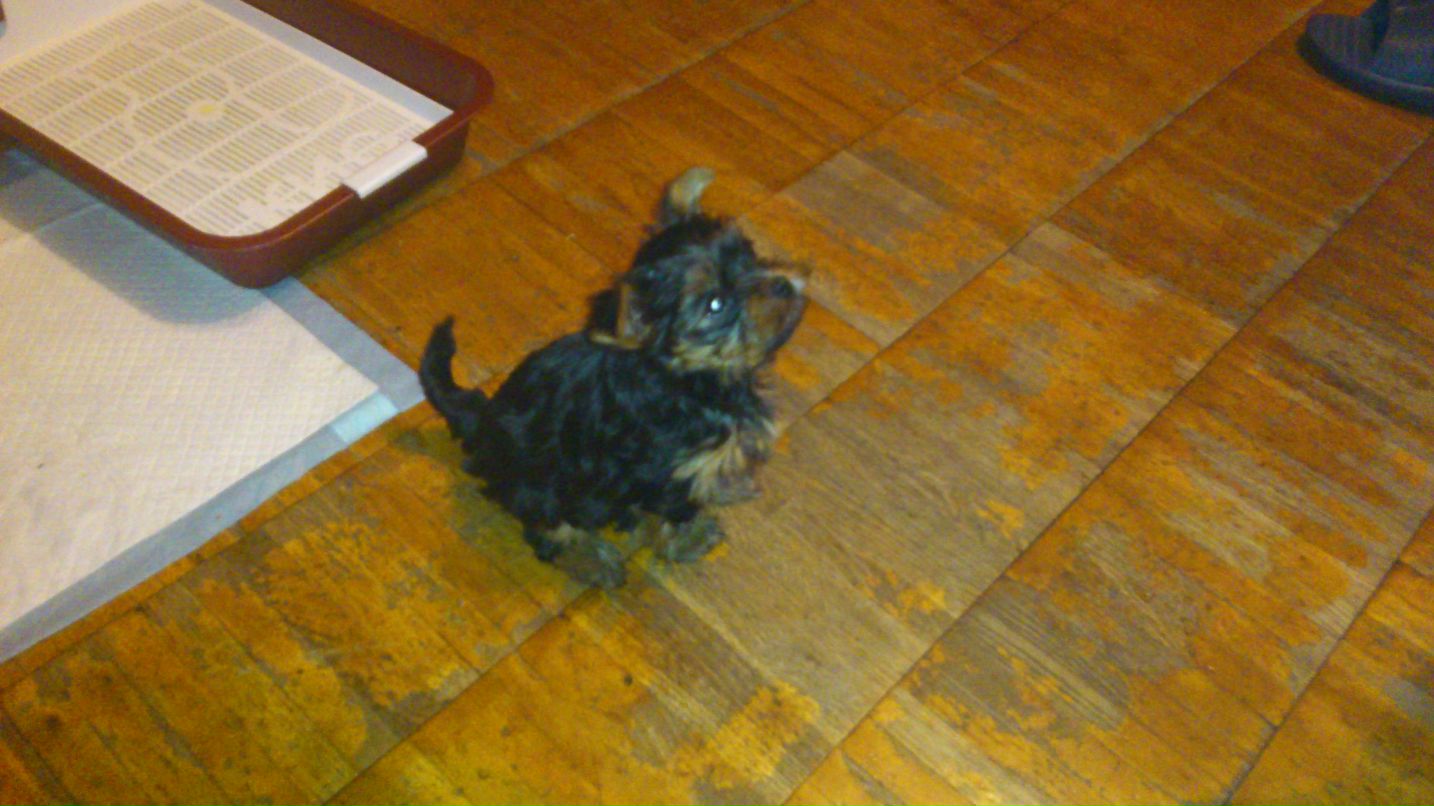 Александра Попович | Москва