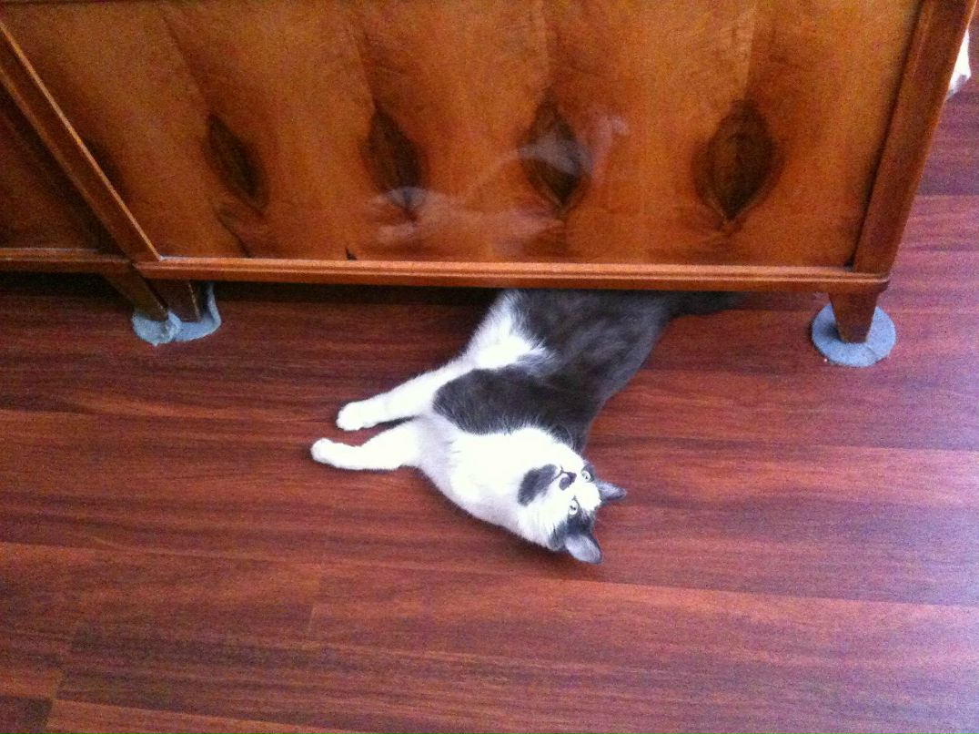 Аня Пилипович | Киев