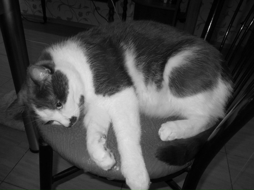 Аня Пилипович | Киев