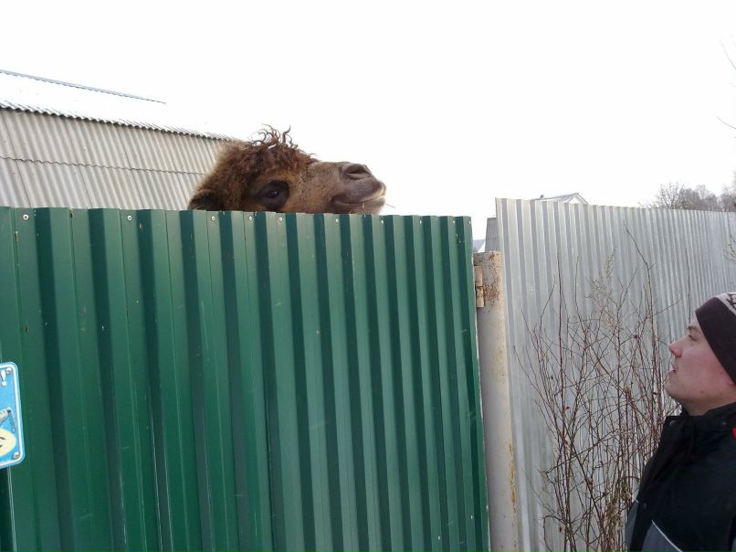 Дмитрий Захаренков | Смоленск