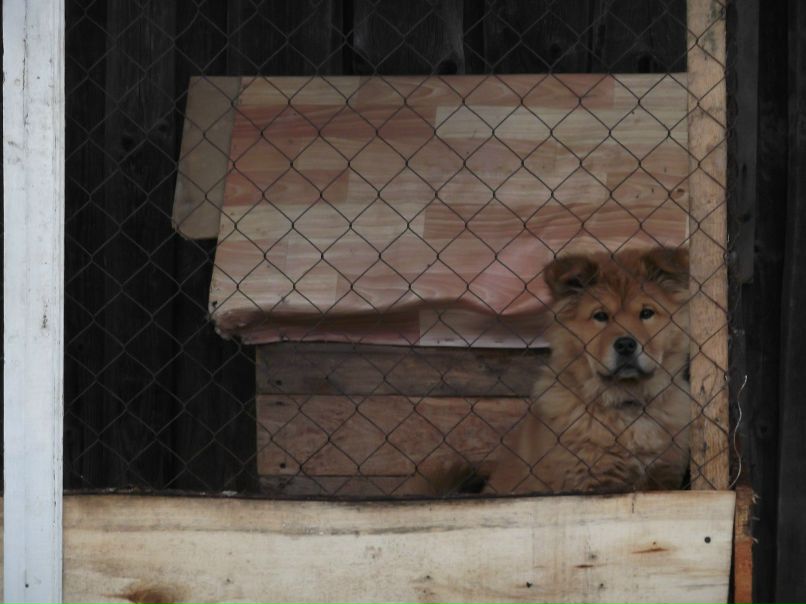 Саша Семенов | Старая Русса