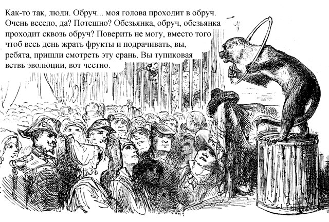 Кролик Френк | Middlesex