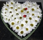 №157, Вера Новикова, Конаково №157, Вера Новикова, Конаково