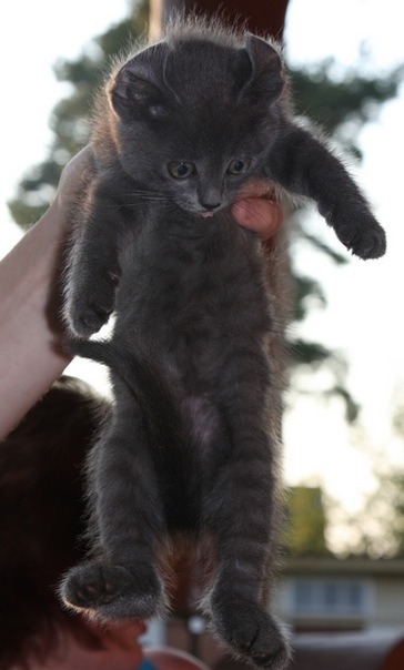 №58, Вероника Доничева, Новосибирск №58, Вероника Доничева, Новосибирск