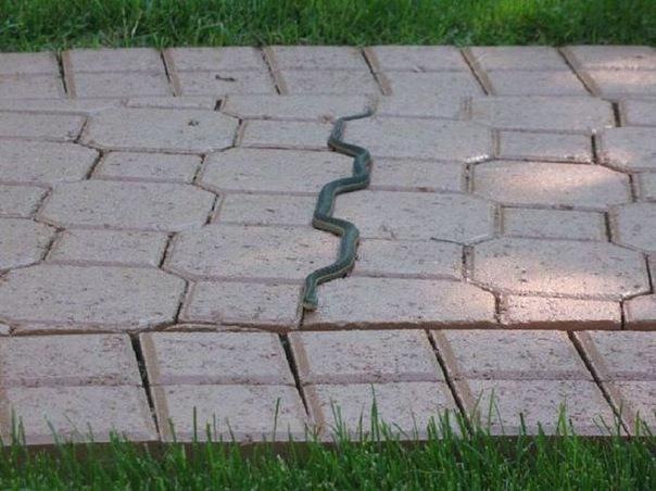 №22, Ирина Хоченкова №22, Ирина Хоченкова