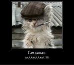 №35 Сергей Кияткин 01.12.1991: профиль, фото, статус - ВКонтакте №35 Сергей Кияткин 01.12.1991: профиль, фото, статус - ВКонтакте