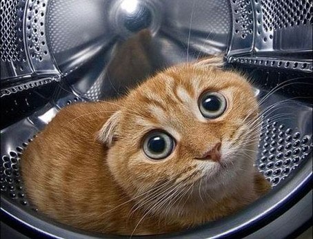 Деметрий Варламов | Санкт-Петербург