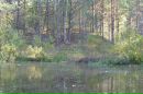 №17 Татьяна Борисова 11.08.1998: профиль, фото, статус - ВКонтакте
