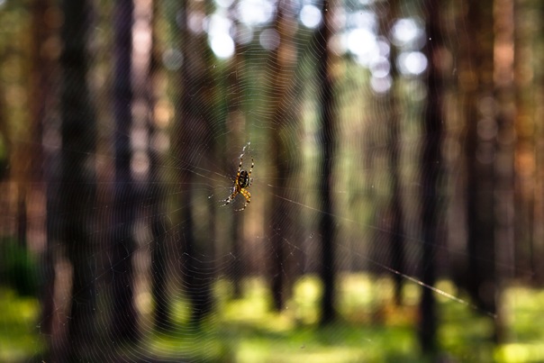 №18, Вадим Комышенец, 42 года, Санкт-Петербург №18, Вадим Комышенец, 42 года, Санкт-Петербург