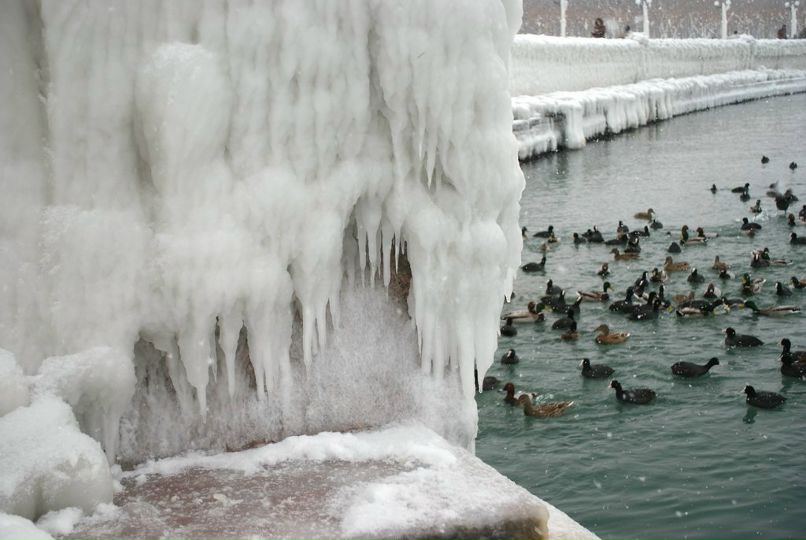 Андрей Макеев *drue* | Краснодар