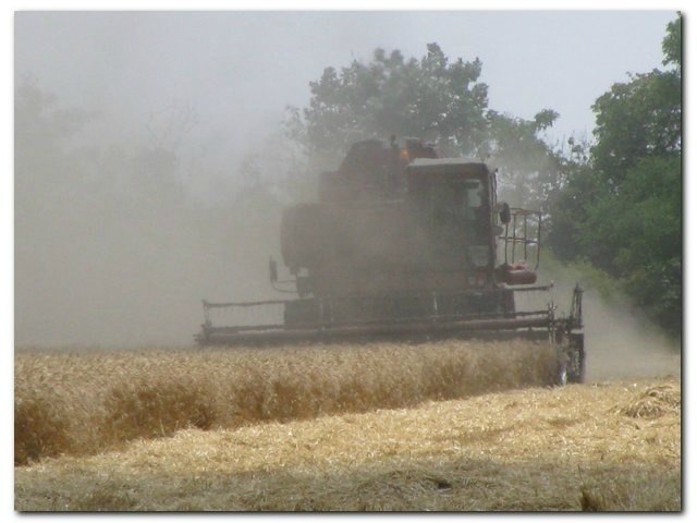 Александр Трыгуб | Херсон