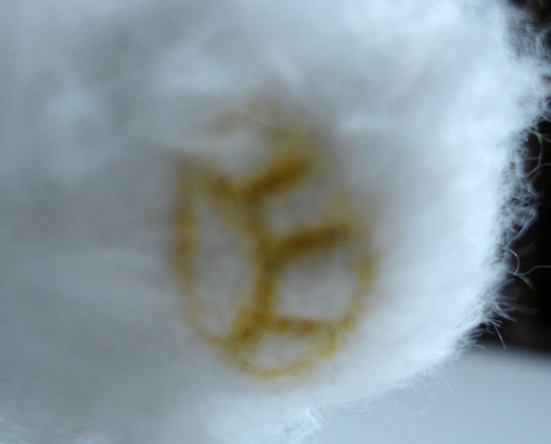 Вера Коробова | Екатеринбург