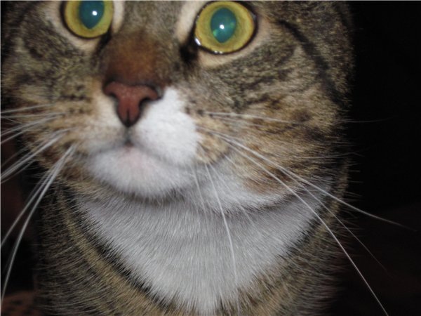 №61, Сашенька Чёрная, 39 лет, Симферополь №61, Сашенька Чёрная, 39 лет, Симферополь