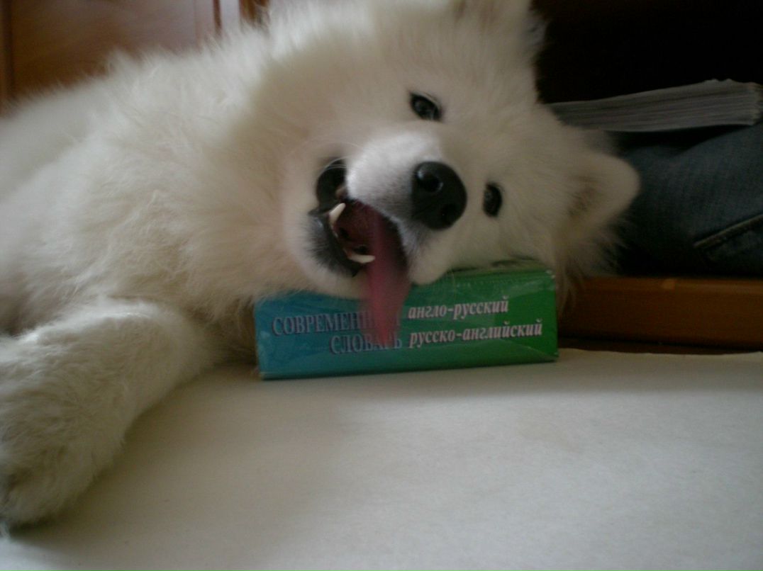 Олеся Пархоменко-Максимова | Pago Pago