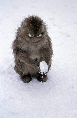 №1, Антоха Шумилов №1, Антоха Шумилов