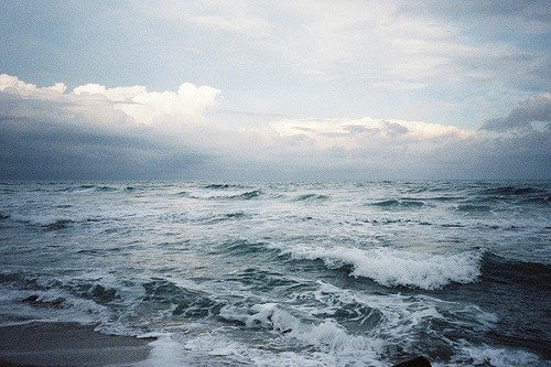 Tonik Grigorii | Санкт-Петербург